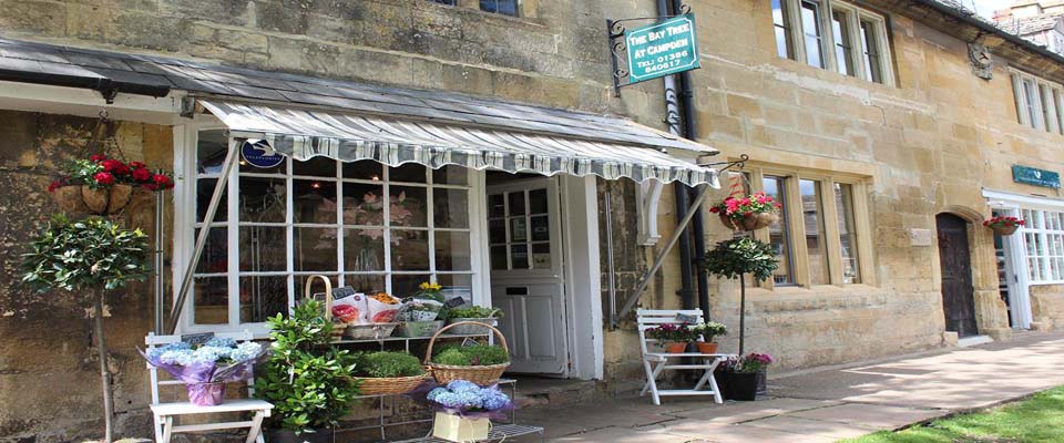 Welcome to The Bay Tree Florist at Chipping Campden