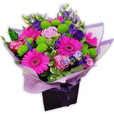 The Fresh Stems of Bel-Air