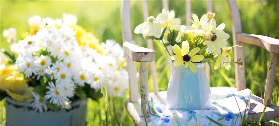 Summer Flowers at The Bay Tree Florist