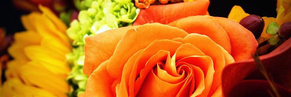 Autumn Flowers at The Bay Tree Florist