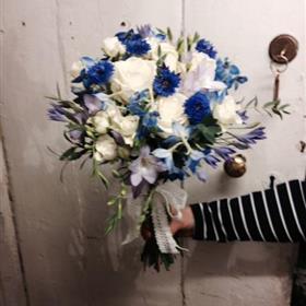 fwthumbCornflowers.jpg